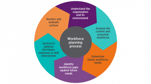 Workforce Planning: The Ultimate Guide - ThriveMap